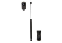 Gas spring, hood