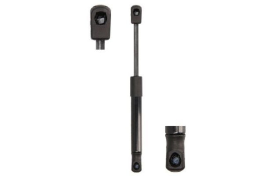 Gas spring, hood