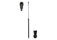 Gas spring, hood