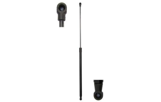Gas spring, hood