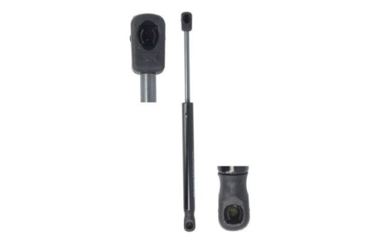 Gas spring, hood