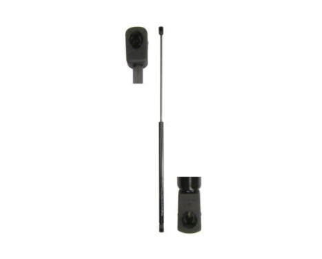Gas spring, hood