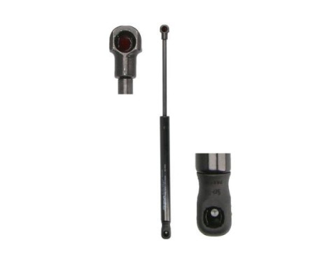 Gas spring, hood