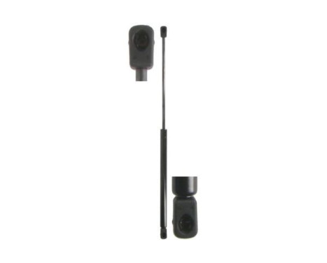 Gas spring, hood