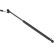 Gas Spring, rear windscreen //  ELEKTRO-LIFT 673281 Stabilus