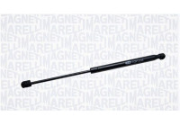 Gas Spring, rear windscreen GS0227 Magneti Marelli