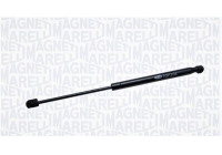 Gas Spring, rear windscreen GS0520 Magneti Marelli