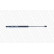Gas Spring, rear windscreen ML5700 Monroe, Thumbnail 5