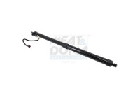 Gas spring, shelf (Trunk/Cargo area)