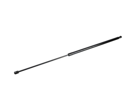 Gas spring, trunk 106702 FEBI