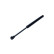 Gas spring, trunk 12-2600 Maxgear