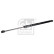 Gas spring, trunk 177940 FEBI