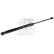 Gas spring, trunk 180706 FEBI, Thumbnail 2