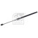 Gas spring, trunk 180710 FEBI