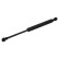 gas spring, trunk 25135 FEBI