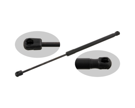 gas spring, trunk 27619 FEBI