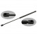 gas spring, trunk 27778 FEBI