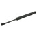 gas spring, trunk 27832 FEBI