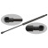 gas spring, trunk 27889 FEBI