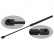 gas spring, trunk 27896 FEBI