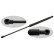 gas spring, trunk 28078 FEBI