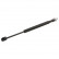 gas spring, trunk 29260 FEBI