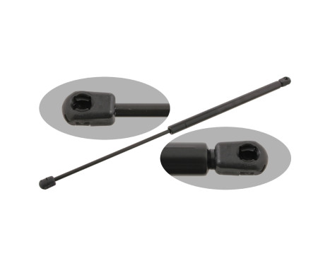 gas spring, trunk 29291 FEBI
