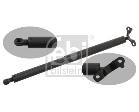 gas spring, trunk 29334 FEBI, Image 2