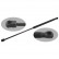gas spring, trunk 29402 FEBI