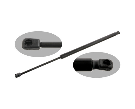 gas spring, trunk 31050 FEBI