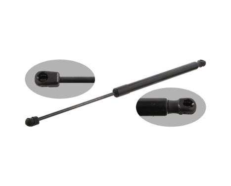 gas spring, trunk 31643 FEBI