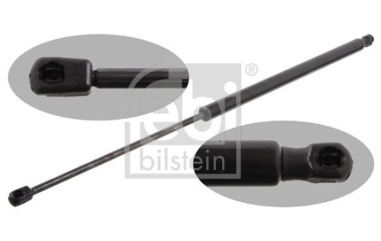 gas spring, trunk 31645 FEBI, Image 2