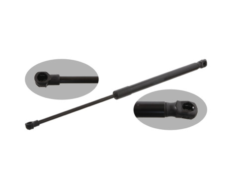 gas spring, trunk 31649 FEBI