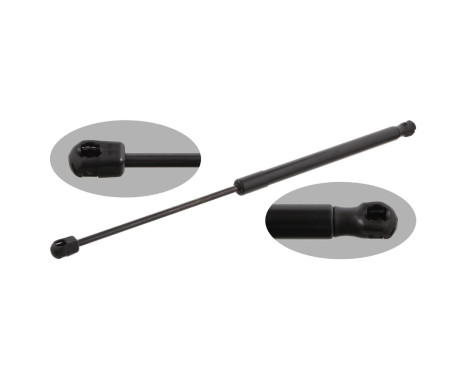 gas spring, trunk 31666 FEBI