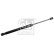 gas spring, trunk 31679 FEBI, Thumbnail 3
