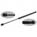 gas spring, trunk 31946 FEBI