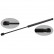 gas spring, trunk 31955 FEBI