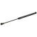 gas spring, trunk 32901 FEBI