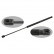 gas spring, trunk 34445 FEBI