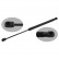 gas spring, trunk 37481 FEBI
