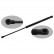 gas spring, trunk 38192 FEBI