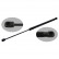 gas spring, trunk 39260 FEBI