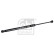 Gas spring, trunk 47111 FEBI, Thumbnail 2