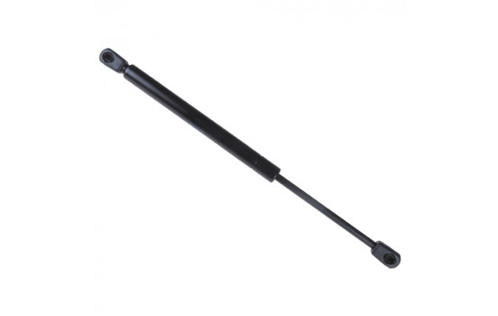 gas spring, trunk ADG05856 Blue Print