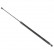 gas spring, trunk ADH25801 Blue Print