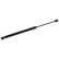 gas spring, trunk ADK85803 Blue Print