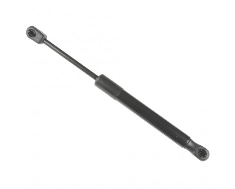 gas spring, trunk ADM55801 Blue Print