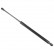 gas spring, trunk ADM55803 Blue Print