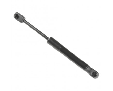 gas spring, trunk ADM55805 Blue Print