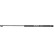gas spring, trunk ML5014 Monroe